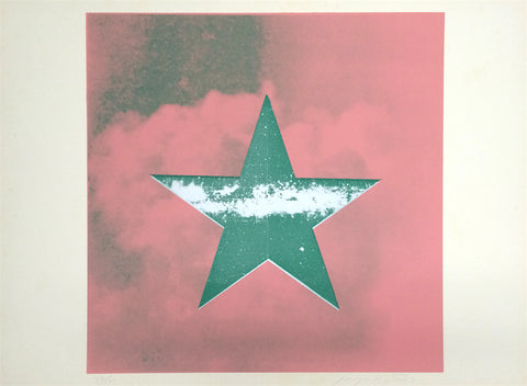 Estrella Verde sobre Rosa - MATADERO ART