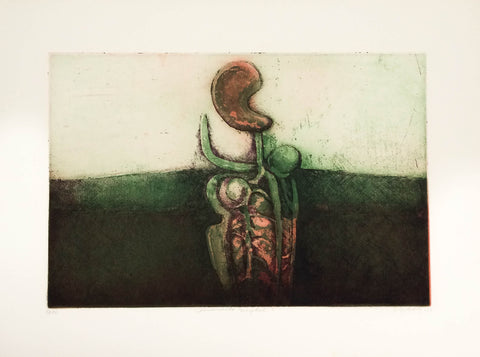 Crecimiento vegetal - MATADERO ART